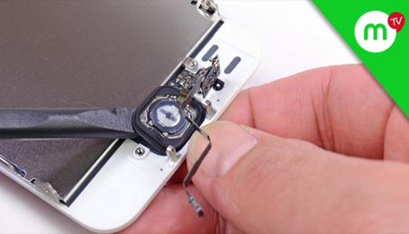 Trả lời #36 vân tay iPhone dùng nhiều bị hỏng???| MANGOTV