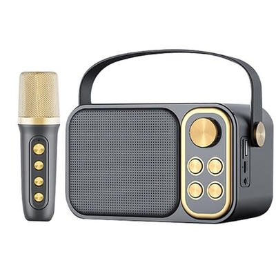 Loa Karaoke Mini YS-103